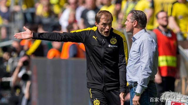 他们的表现 他们的表现