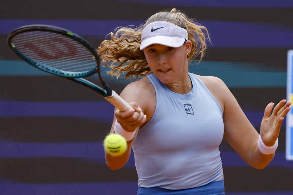 引发了国内 引发了国内